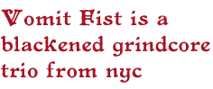 Vomit Fist is a blackened grindcore trio from NYC